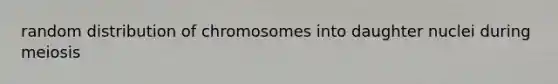 random distribution of chromosomes into daughter nuclei during meiosis