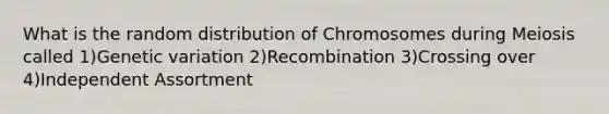 What is the random distribution of Chromosomes during Meiosis called 1)Genetic variation 2)Recombination 3)Crossing over 4)Independent Assortment