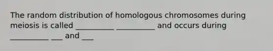 The random distribution of homologous chromosomes during meiosis is called __________ __________ and occurs during __________ ___ and ___