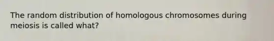 The random distribution of homologous chromosomes during meiosis is called what?