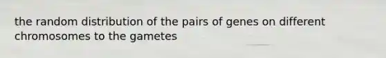 the random distribution of the pairs of genes on different chromosomes to the gametes