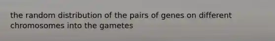 the random distribution of the pairs of genes on different chromosomes into the gametes