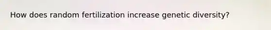 How does random fertilization increase genetic diversity?