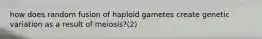 how does random fusion of haploid gametes create genetic variation as a result of meiosis?(2)