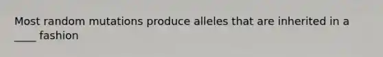 Most random mutations produce alleles that are inherited in a ____ fashion