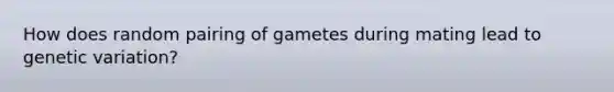 How does random pairing of gametes during mating lead to genetic variation?