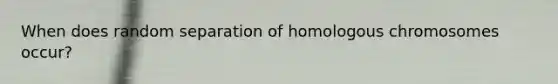 When does random separation of homologous chromosomes occur?