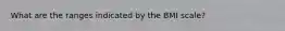 What are the ranges indicated by the BMI scale?