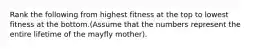 Rank the following from highest fitness at the top to lowest fitness at the bottom.(Assume that the numbers represent the entire lifetime of the mayfly mother).