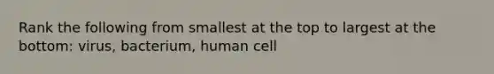 Rank the following from smallest at the top to largest at the bottom: virus, bacterium, human cell