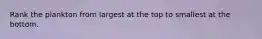 Rank the plankton from largest at the top to smallest at the bottom.