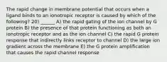 The rapid change in membrane potential that occurs when a ligand binds to an ionotropic receptor is caused by which of the following? 20) ______ A) the rapid gating of the ion channel by G protein B) the presence of that protein functioning as both an ionotropic receptor and as the ion channel C) the rapid G protein response that indirectly links receptor to channel D) the large ion gradient across the membrane E) the G protein amplification that causes the rapid channel response