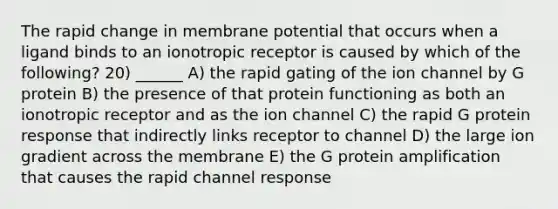 The rapid change in membrane potential that occurs when a ligand binds to an ionotropic receptor is caused by which of the following? 20) ______ A) the rapid gating of the ion channel by G protein B) the presence of that protein functioning as both an ionotropic receptor and as the ion channel C) the rapid G protein response that indirectly links receptor to channel D) the large ion gradient across the membrane E) the G protein amplification that causes the rapid channel response