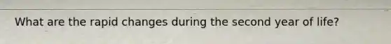 What are the rapid changes during the second year of life?