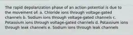 The rapid depolarization phase of an action potential is due to the movement of: a. Chloride ions through voltage-gated channels b. Sodium ions through voltage-gated channels c. Potassium ions through voltage-gated channels d. Potassium ions through leak channels e. Sodium ions through leak channels