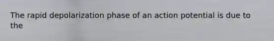 The rapid depolarization phase of an action potential is due to the