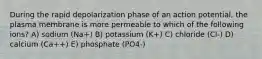 During the rapid depolarization phase of an action potential, the plasma membrane is more permeable to which of the following ions? A) sodium (Na+) B) potassium (K+) C) chloride (Cl-) D) calcium (Ca++) E) phosphate (PO4-)