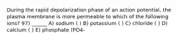 During the rapid depolarization phase of an action potential, the plasma membrane is more permeable to which of the following ions? 97) ______ A) sodium ( ) B) potassium ( ) C) chloride ( ) D) calcium ( ) E) phosphate (PO4-