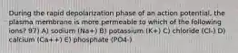 During the rapid depolarization phase of an action potential, the plasma membrane is more permeable to which of the following ions? 97) A) sodium (Na+) B) potassium (K+) C) chloride (Cl-) D) calcium (Ca++) E) phosphate (PO4-)