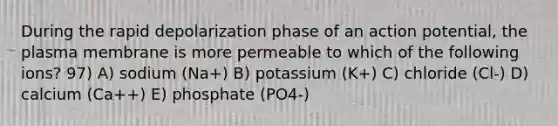 During the rapid depolarization phase of an action potential, the plasma membrane is more permeable to which of the following ions? 97) A) sodium (Na+) B) potassium (K+) C) chloride (Cl-) D) calcium (Ca++) E) phosphate (PO4-)