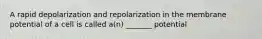 A rapid depolarization and repolarization in the membrane potential of a cell is called a(n) _______ potential