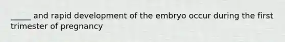 _____ and rapid development of the embryo occur during the first trimester of pregnancy