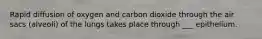 Rapid diffusion of oxygen and carbon dioxide through the air sacs (alveoli) of the lungs takes place through ___ epithelium.