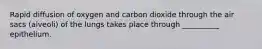 Rapid diffusion of oxygen and carbon dioxide through the air sacs (alveoli) of the lungs takes place through __________ epithelium.