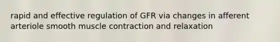 rapid and effective regulation of GFR via changes in afferent arteriole smooth muscle contraction and relaxation