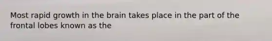 Most rapid growth in the brain takes place in the part of the frontal lobes known as the