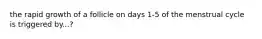 the rapid growth of a follicle on days 1-5 of the menstrual cycle is triggered by...?