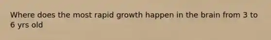 Where does the most rapid growth happen in the brain from 3 to 6 yrs old