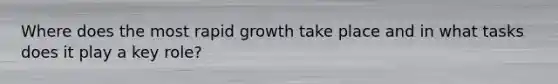 Where does the most rapid growth take place and in what tasks does it play a key role?