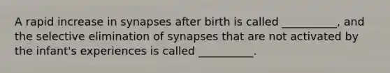 A rapid increase in synapses after birth is called __________, and the selective elimination of synapses that are not activated by the infant's experiences is called __________.