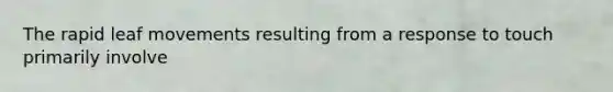 The rapid leaf movements resulting from a response to touch primarily involve
