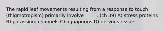 The rapid leaf movements resulting from a response to touch (thigmotropism) primarily involve _____. (ch 39) A) stress proteins B) potassium channels C) aquaporins D) nervous tissue