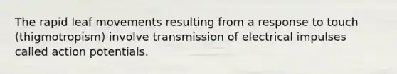 The rapid leaf movements resulting from a response to touch (thigmotropism) involve transmission of electrical impulses called action potentials.