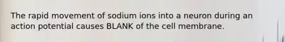 The rapid movement of sodium ions into a neuron during an action potential causes BLANK of the cell membrane.