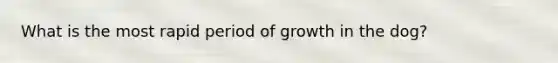 What is the most rapid period of growth in the dog?