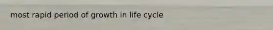 most rapid period of growth in life cycle