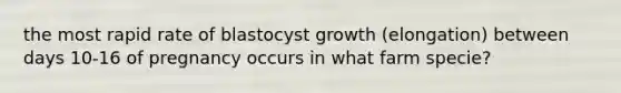 the most rapid rate of blastocyst growth (elongation) between days 10-16 of pregnancy occurs in what farm specie?