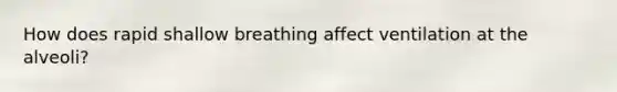 How does rapid shallow breathing affect ventilation at the alveoli?