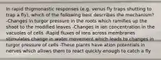 In rapid thigmonastic responses (e.g. venus fly traps shutting to trap a fly), which of the following best describes the mechanism? -Changes in turgor pressure in the roots which ramifies up the shoot to the modified leaves -Changes in ion concentration in the vacuoles of cells -Rapid fluxes of ions across membranes stimulates change in water movement which leads to changes in turgor pressure of cells -These plants have ation potentials in nerves which allows them to react quickly enough to catch a fly