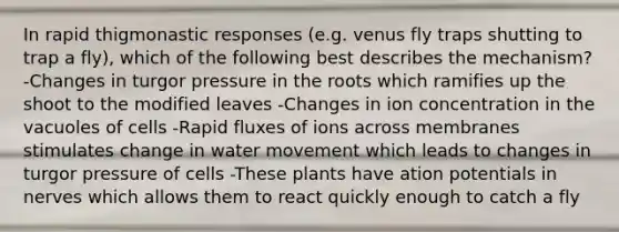 In rapid thigmonastic responses (e.g. venus fly traps shutting to trap a fly), which of the following best describes the mechanism? -Changes in turgor pressure in the roots which ramifies up the shoot to the modified leaves -Changes in ion concentration in the vacuoles of cells -Rapid fluxes of ions across membranes stimulates change in water movement which leads to changes in turgor pressure of cells -These plants have ation potentials in nerves which allows them to react quickly enough to catch a fly