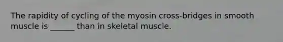 The rapidity of cycling of the myosin cross-bridges in smooth muscle is ______ than in skeletal muscle.