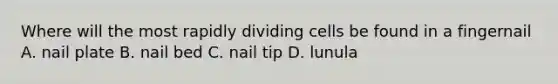 Where will the most rapidly dividing cells be found in a fingernail A. nail plate B. nail bed C. nail tip D. lunula