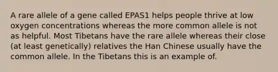 A rare allele of a gene called EPAS1 helps people thrive at low oxygen concentrations whereas the more common allele is not as helpful. Most Tibetans have the rare allele whereas their close (at least genetically) relatives the Han Chinese usually have the common allele. In the Tibetans this is an example of.