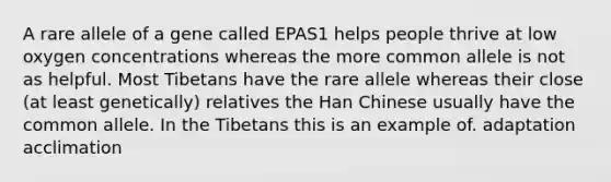 A rare allele of a gene called EPAS1 helps people thrive at low oxygen concentrations whereas the more common allele is not as helpful. Most Tibetans have the rare allele whereas their close (at least genetically) relatives the Han Chinese usually have the common allele. In the Tibetans this is an example of. adaptation acclimation