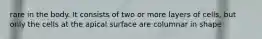 rare in the body. It consists of two or more layers of cells, but only the cells at the apical surface are columnar in shape
