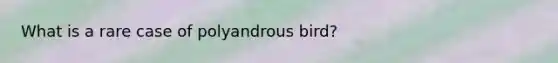 What is a rare case of polyandrous bird?